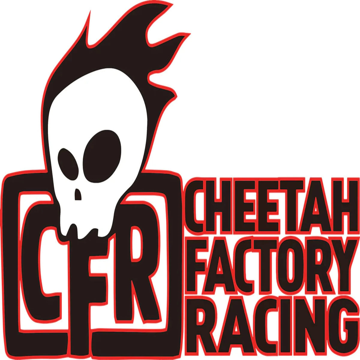 Cheetah Factory Racing
