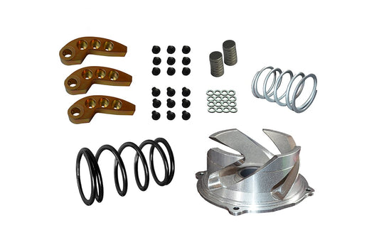 Polaris AXYS 850 RMK/SKS/Assault Clutch Kit with Adjustable Weights.  6000ft +