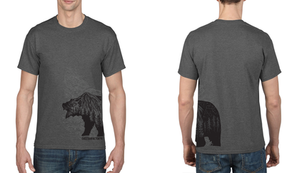 Bear T